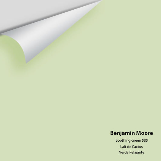 Big Paint Chip - Soothing Green 535