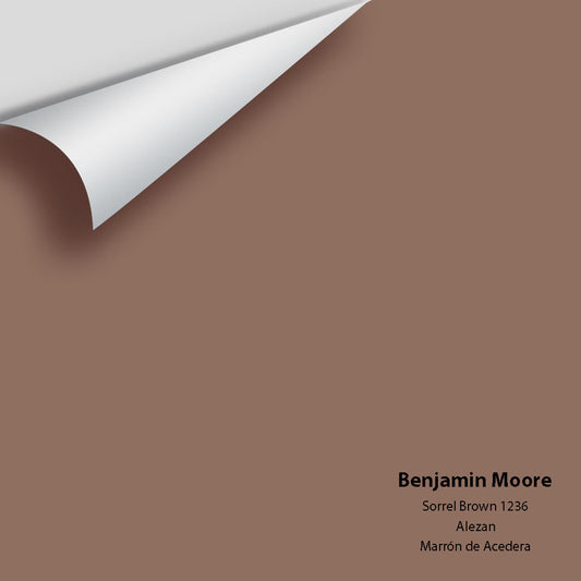 Big Paint Chip - Sorrel Brown 1236