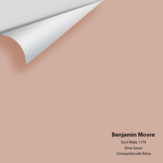 Big Paint Chip - Soul Mate 1179