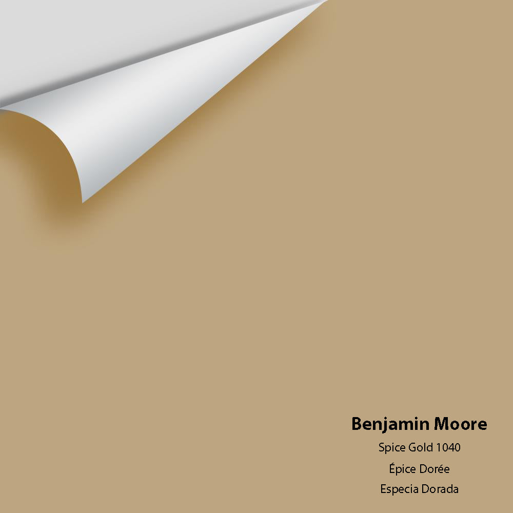 Benjamin Moore - Spice Gold 1040 Colour Sample