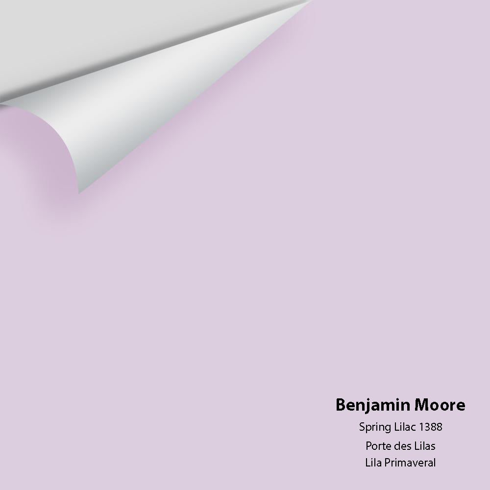 Big Paint Chip - Spring Lilac 1388