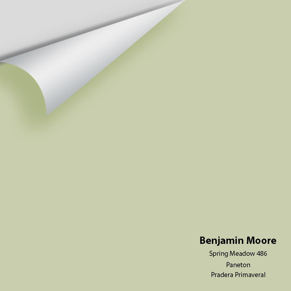 Benjamin Moore - Spring Meadow 486 Colour Sample