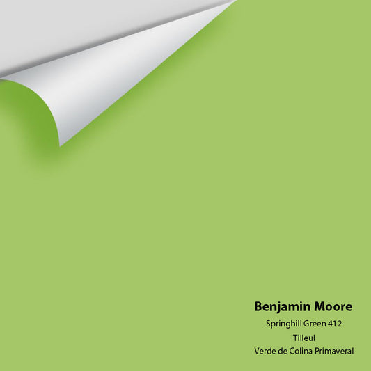 Big Paint Chip - Springhill Green 412