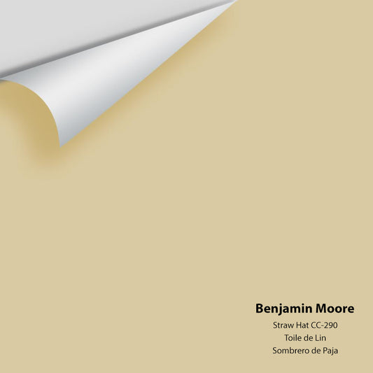 Big Paint Chip - Straw Hat 270 / CC-290 Colour Sample