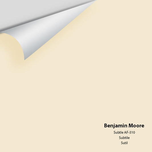 Big Paint Chip - Subtle AF-310