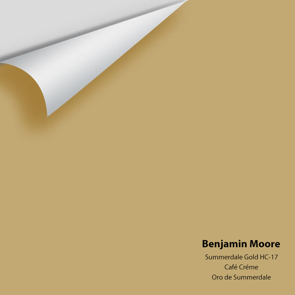 Big Paint Chip - Summerdale Gold HC-17