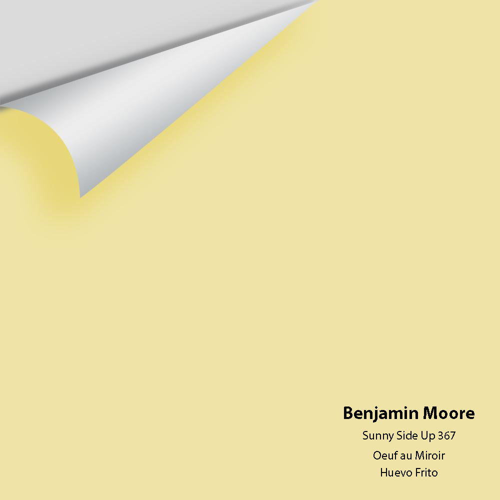 Big Paint Chip - Sunny Side Up 367
