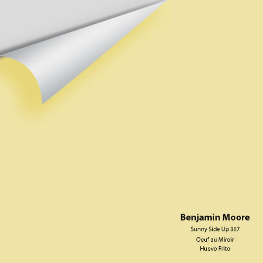 Big Paint Chip - Sunny Side Up 367