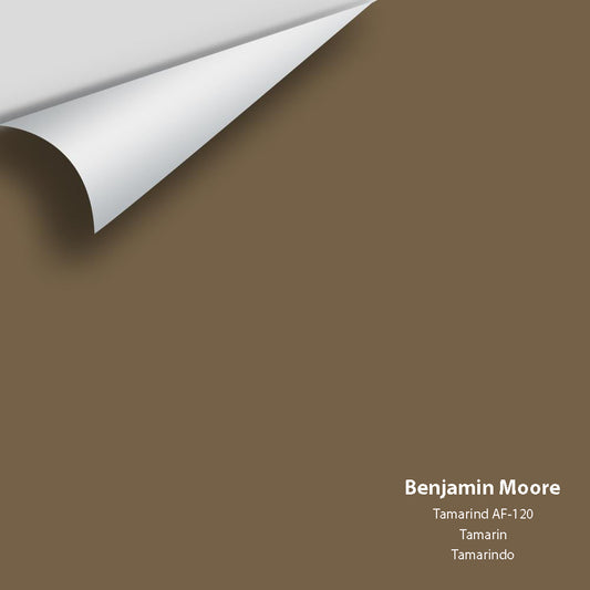 Big Paint Chip - Tamarind AF-120