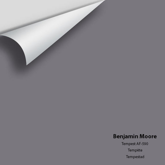 Big Paint Chip - Tempest AF-590