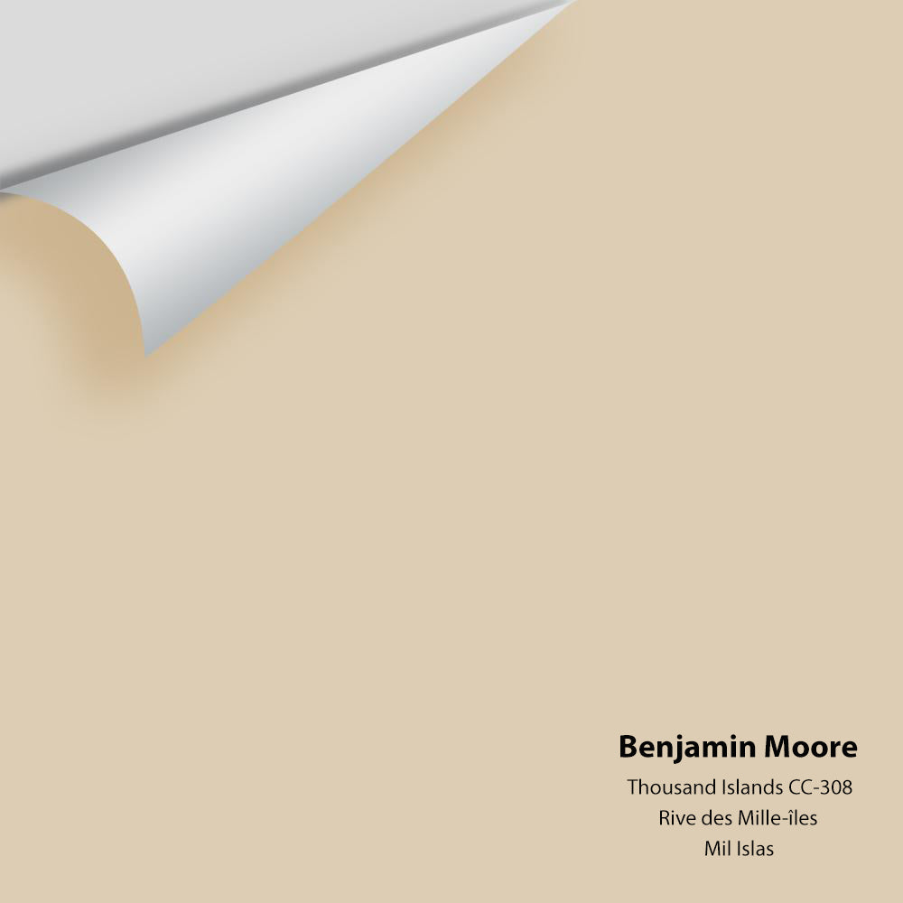 Benjamin Moore - Thousand Islands CC-308 Colour Sample
