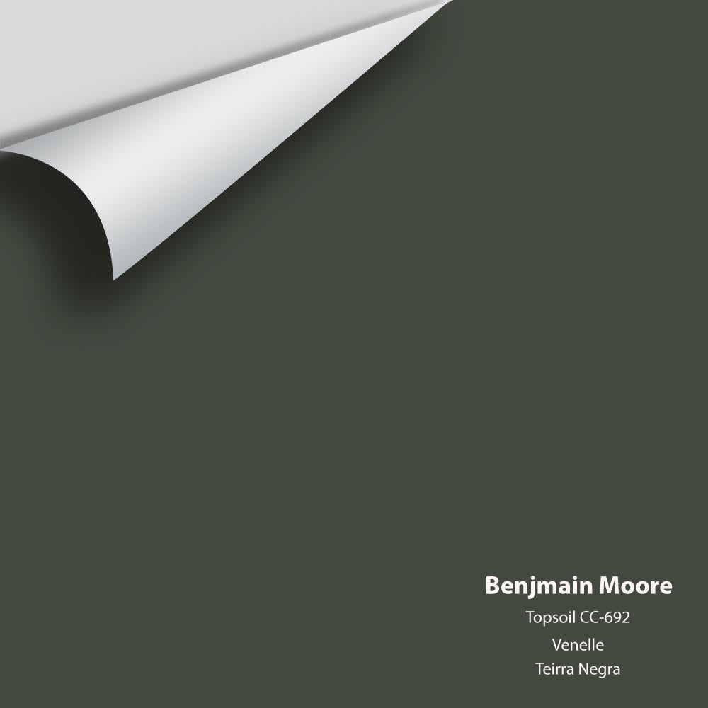Big Paint Chip - Topsoil CC-692