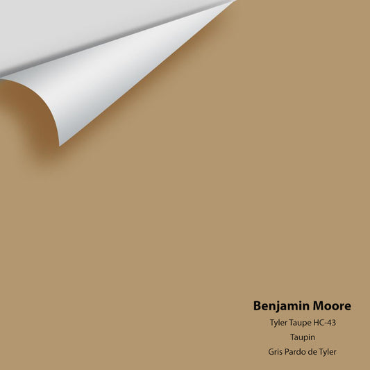 Big Paint Chip - Tyler Taupe HC-43