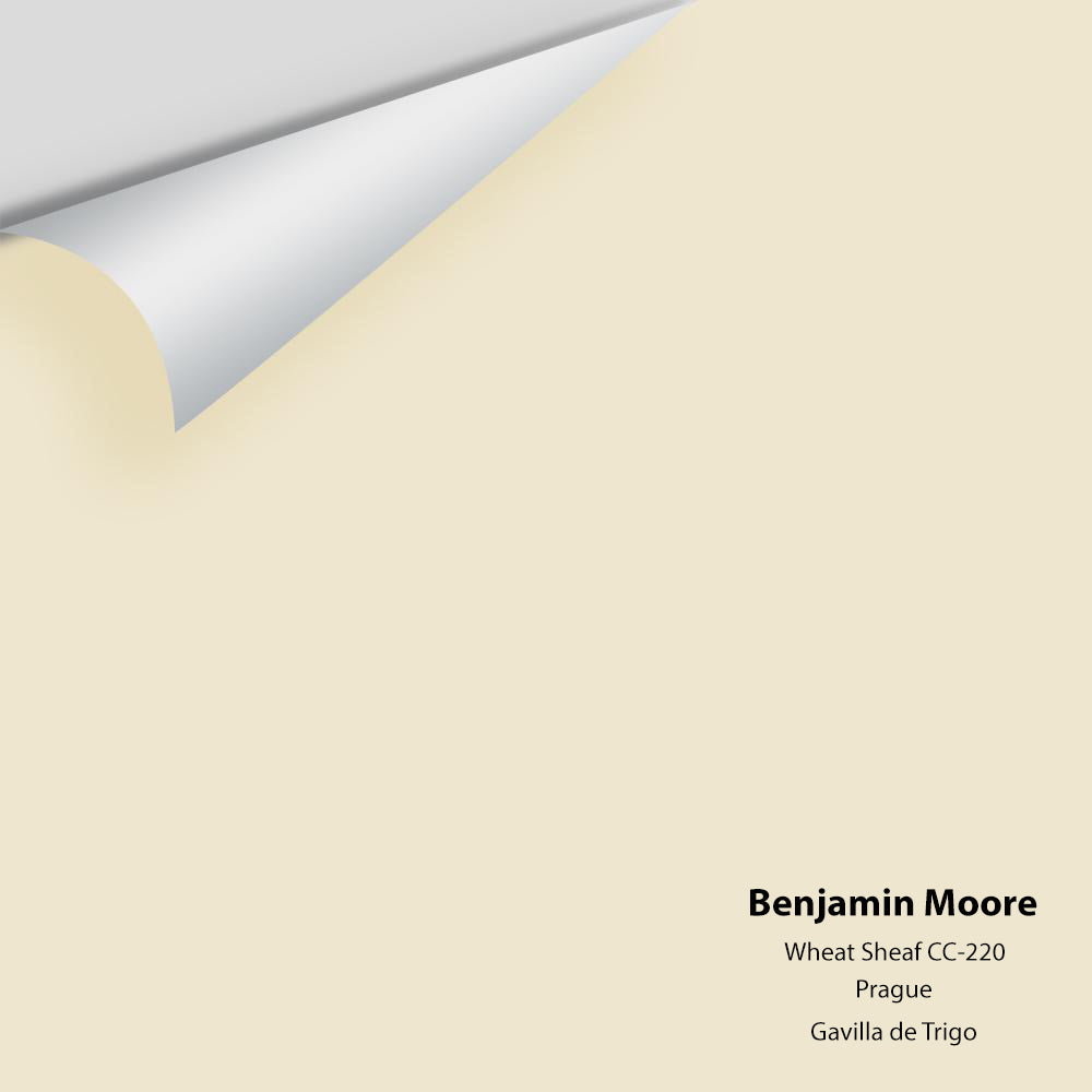 Big Paint Chip - Wheat Sheaf CC-220 Colour Sample