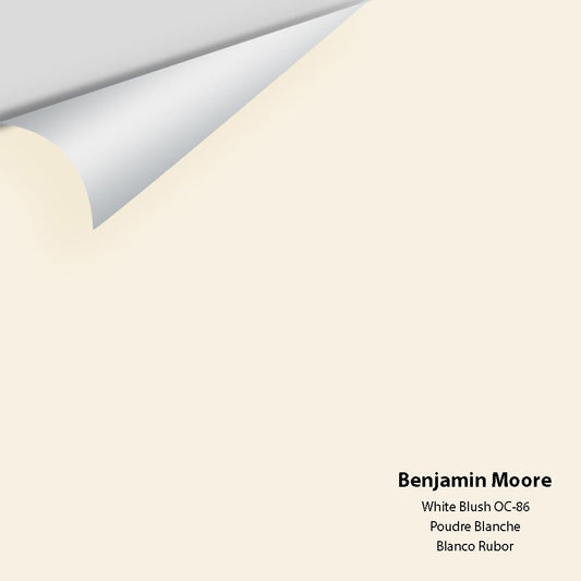 Benjamin Moore - White Blush 904 / OC-86 Colour Sample