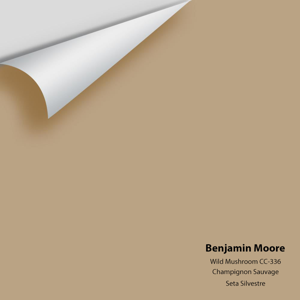 Benjamin Moore - Wild Mushroom CC-336 Colour Sample