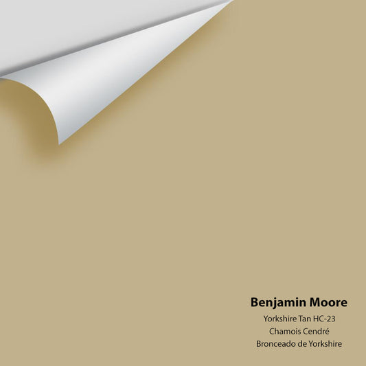 Benjamin Moore - Yorkshire Tan HC-23 Colour Sample