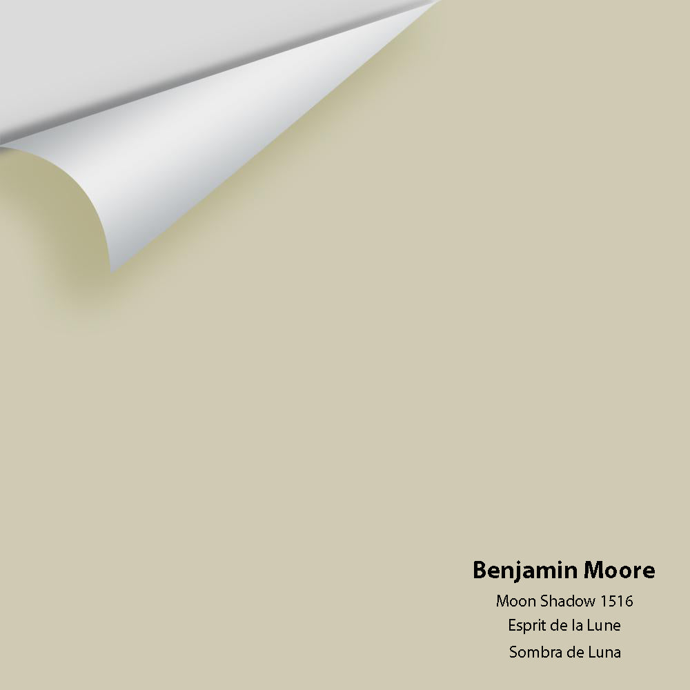 Benjamin Moore - Moon Shadow 1516 Colour Sample