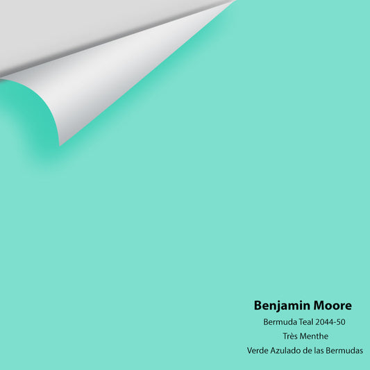 Big Paint Chip - Bermuda Teal 2044-50