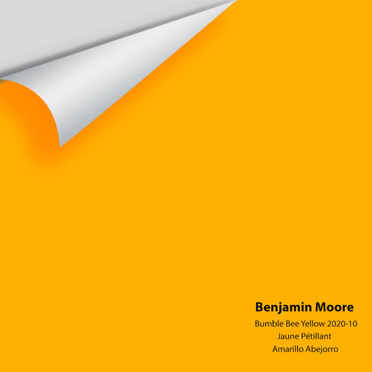 Big Paint Chip - Bumble Bee Yellow 2020-10