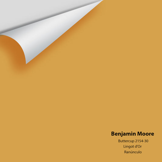 Benjamin Moore - Buttercup 2154-30 Colour Sample