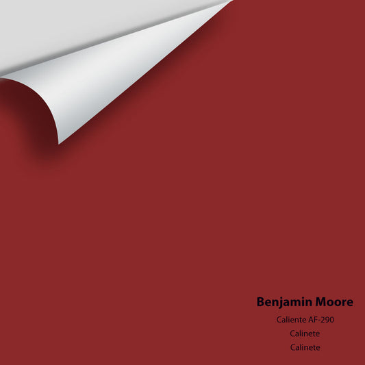 Benjamin Moore - Caliente AF-290 Colour Sample