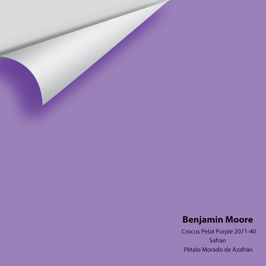 Benjamin Moore - Crocus Petal Purple 2071-40 Colour Sample
