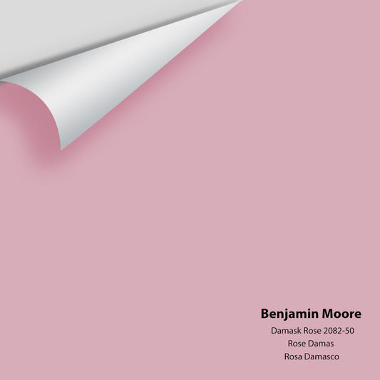 Benjamin Moore - Damask Rose 2082-50 Colour Sample