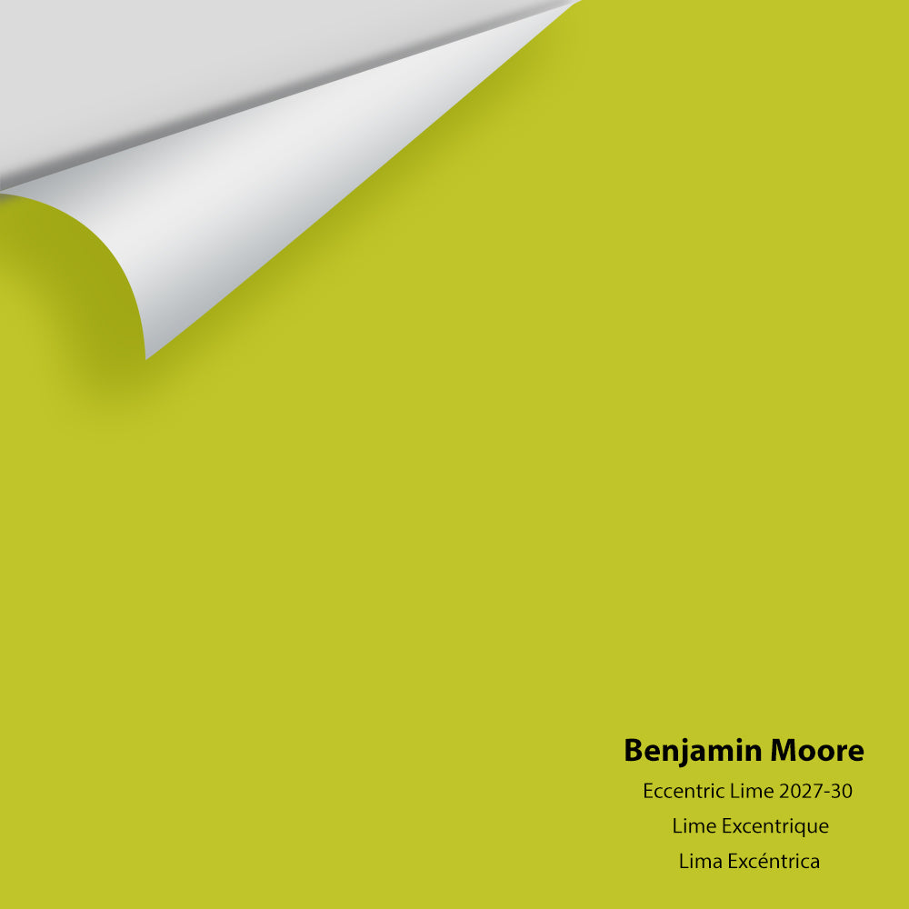 Big Paint Chip - Eccentric Lime 2027-30