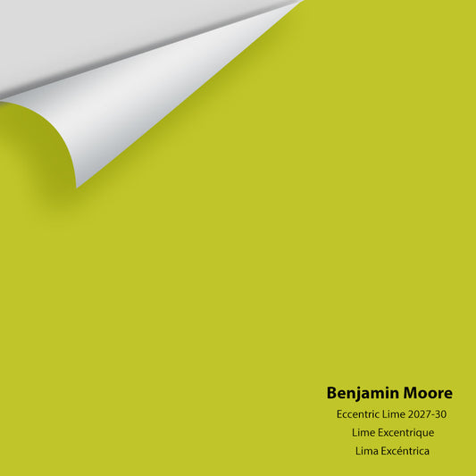 Big Paint Chip - Eccentric Lime 2027-30