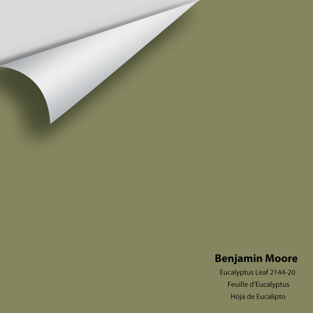 Big Paint Chip - Eucalyptus Leaf 2144-20