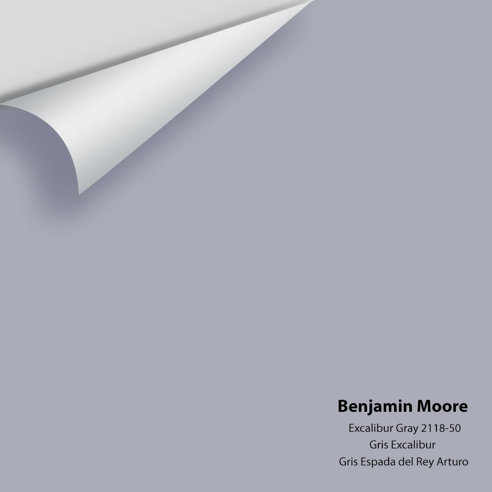 Benjamin Moore - Excalibur Gray 2118-50 Colour Sample