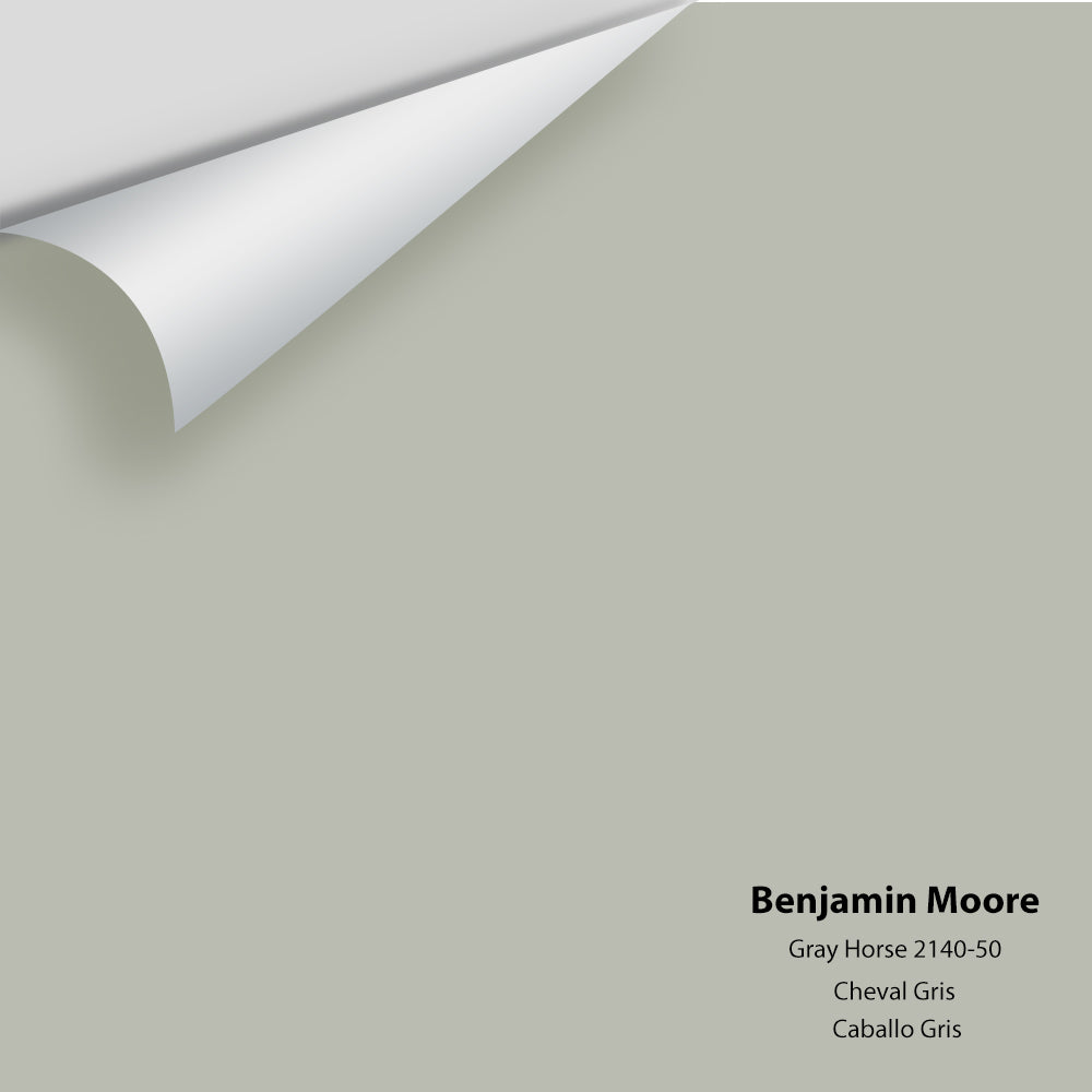 Big Paint Chip - Gray Horse 2140-50