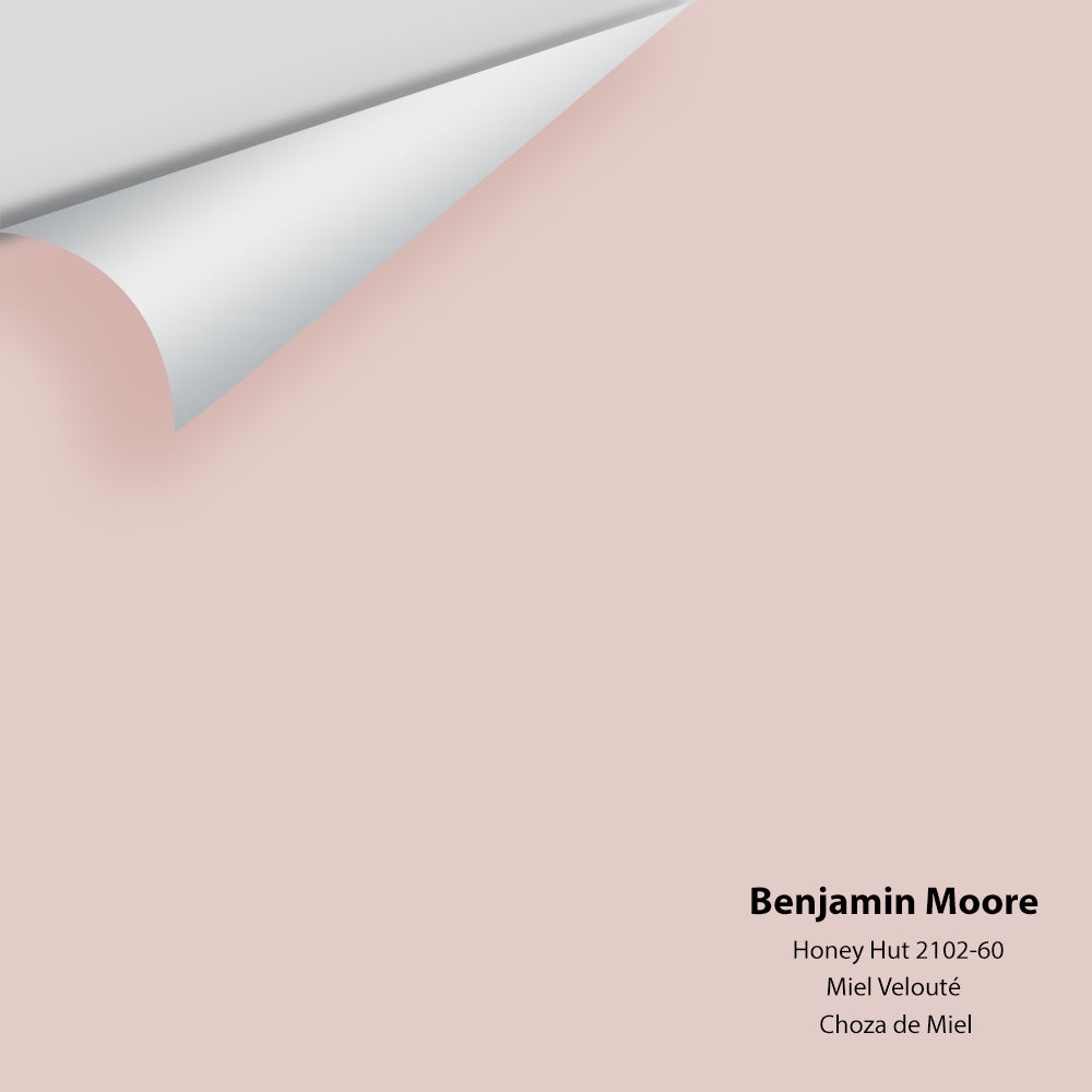Benjamin Moore - Honey Hut 2102-60 Colour Sample