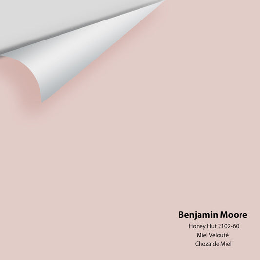 Benjamin Moore - Honey Hut 2102-60 Colour Sample