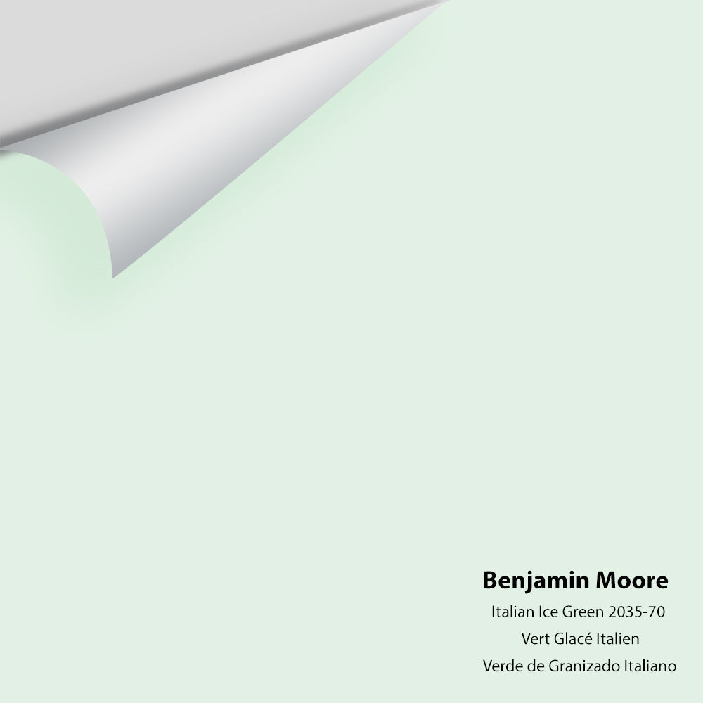 Big Paint Chip - Italian Ice Green 2035-70