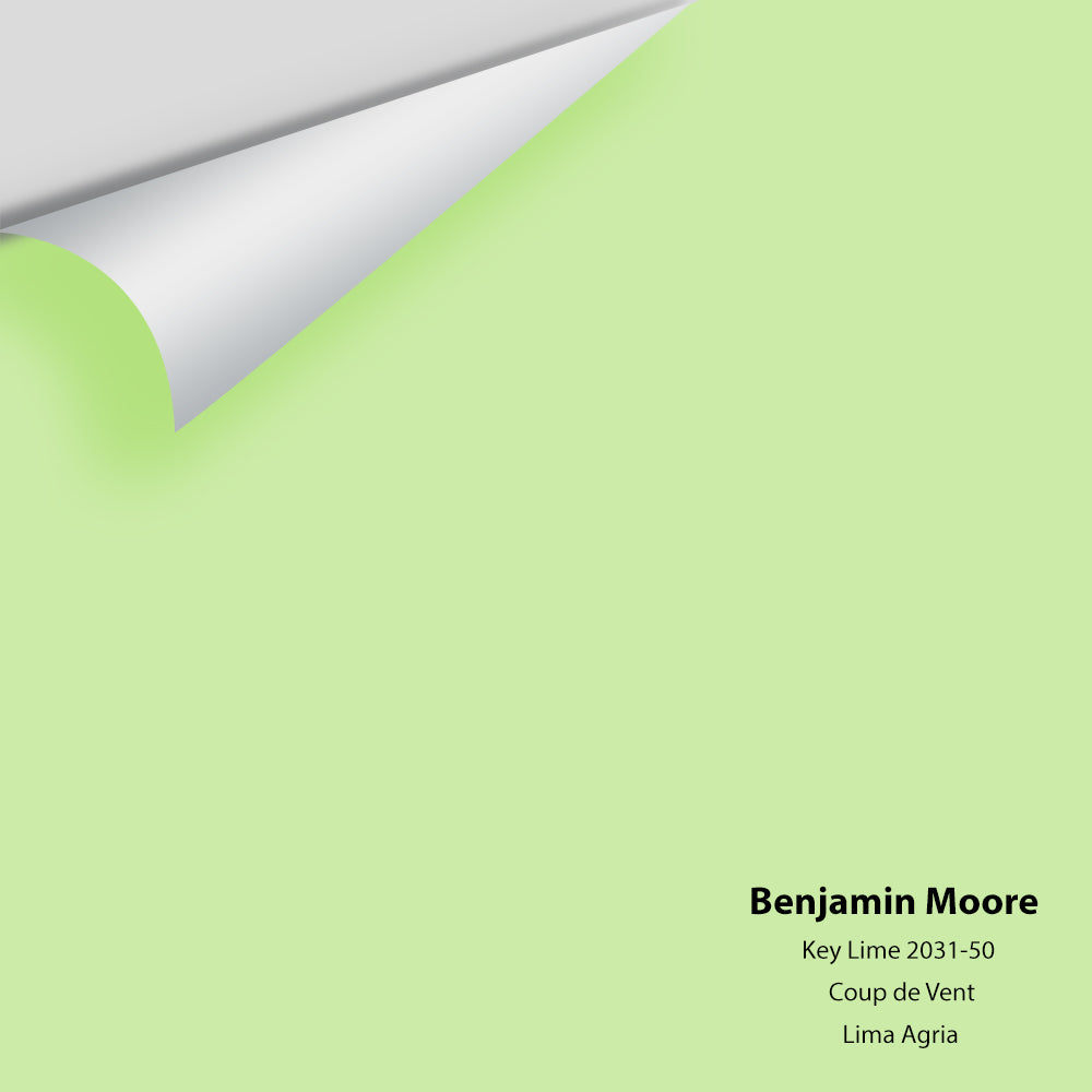 Big Paint Chip - Key Lime 2031-50