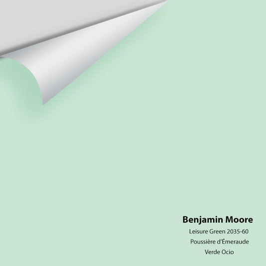 Big Paint Chip - Leisure Green 2035-60