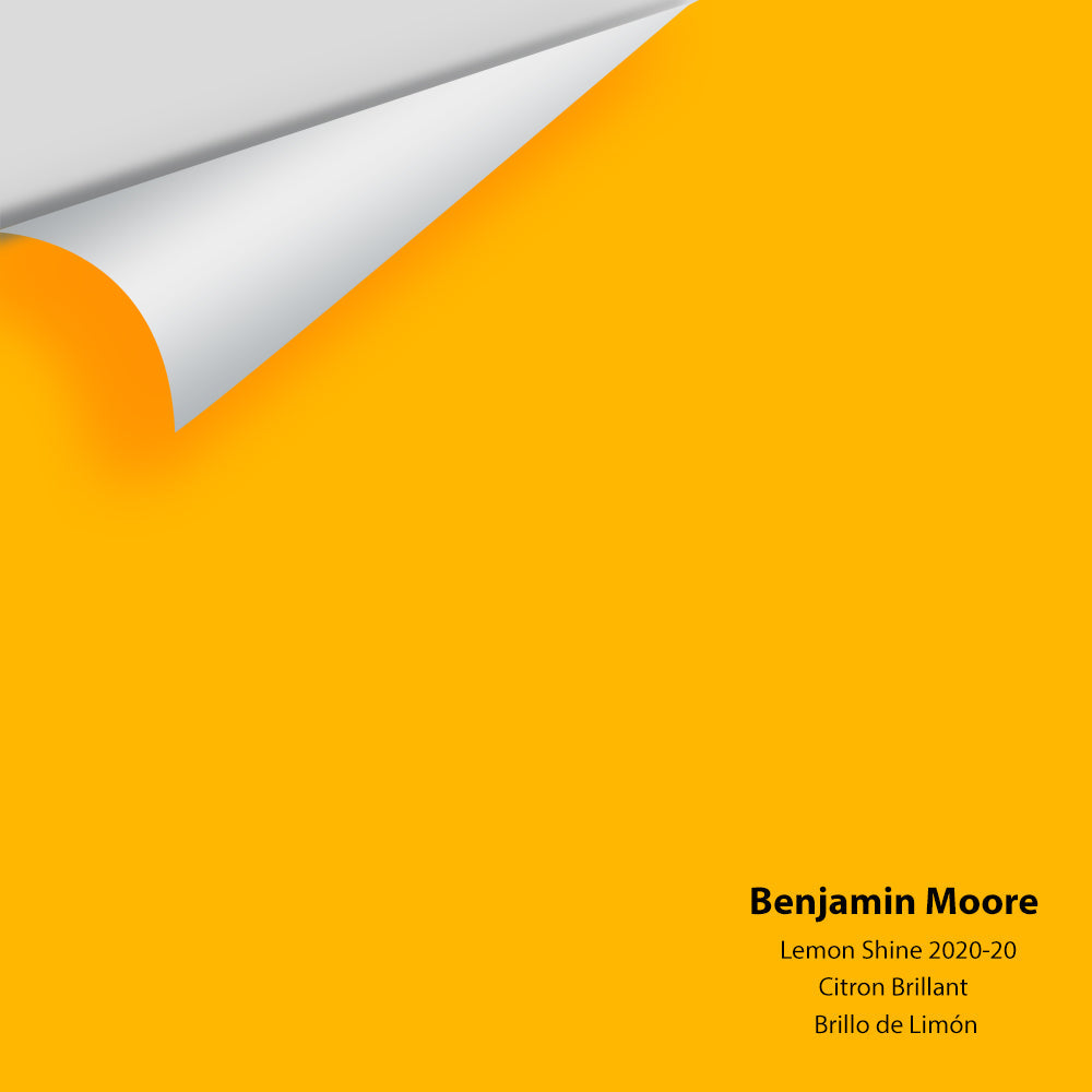 Big Paint Chip - Lemon Shine 2020-20