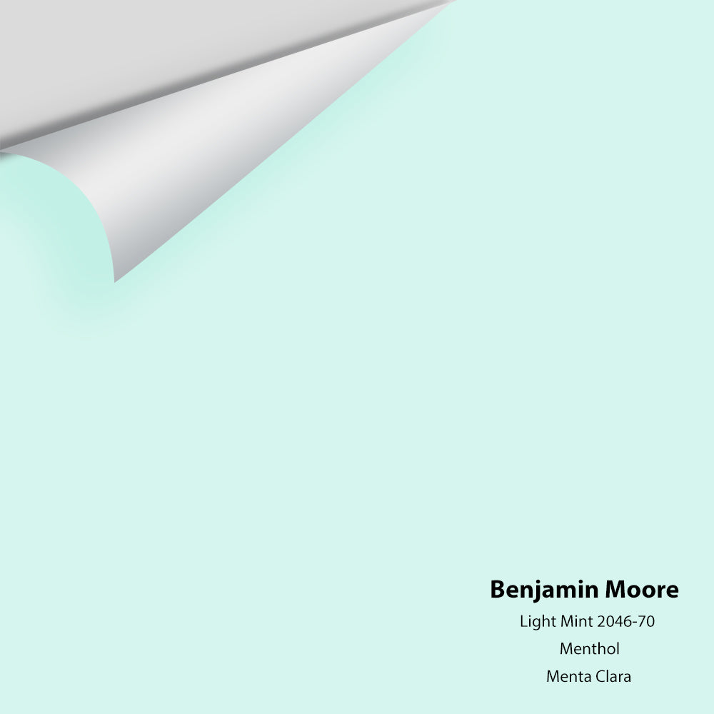 Big Paint Chip - Light Mint 2046-70