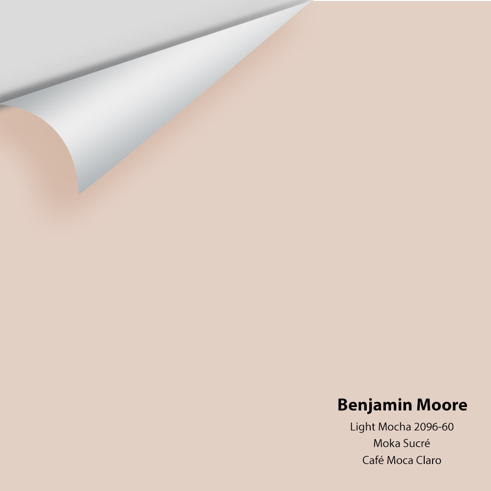 Big Paint Chip - Light Mocha 2096-60