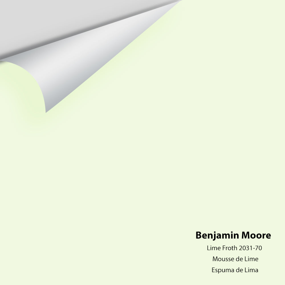 Big Paint Chip - Lime Froth 2031-70
