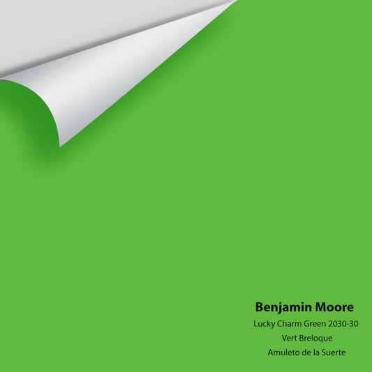 Big Paint Chip - Lucky Charm Green 2030-30