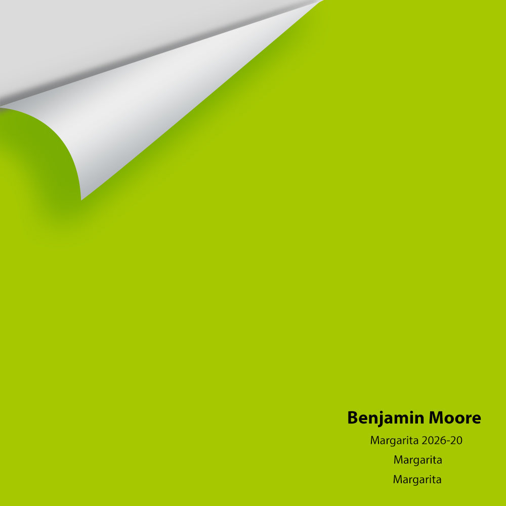 Big Paint Chip - Margarita 2026-20