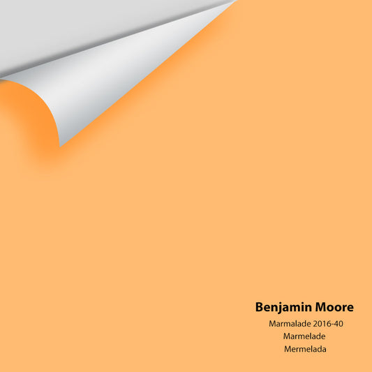 Big Paint Chip - Marmalade 2016-40