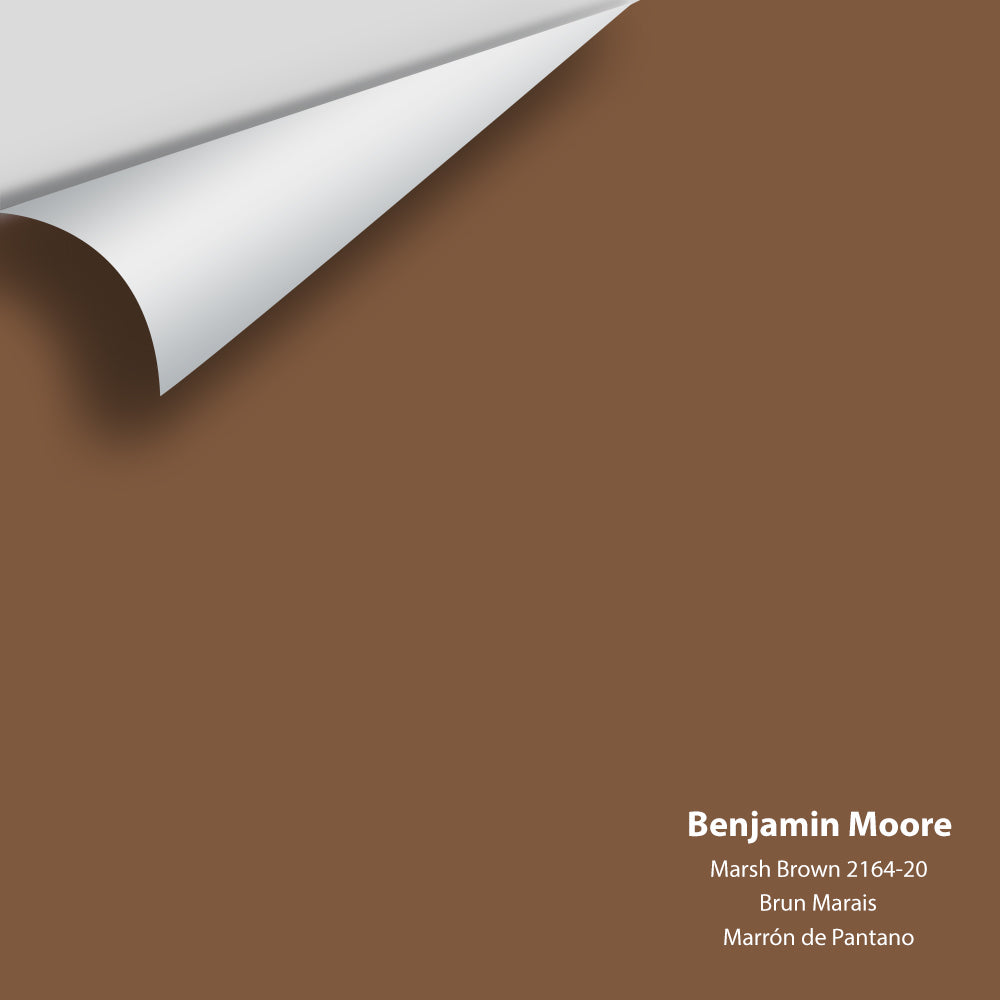 Big Paint Chip - Marsh Brown 2164-20
