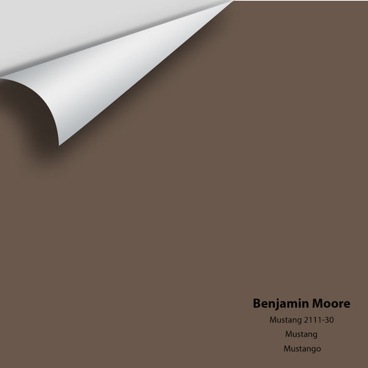 Big Paint Chip - Mustang 2111-30