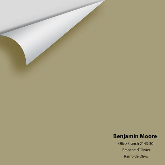 Big Paint Chip - Olive Branch 2143-30