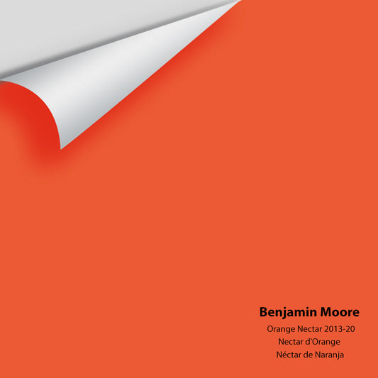 Big Paint Chip - Orange Nectar 2013-20