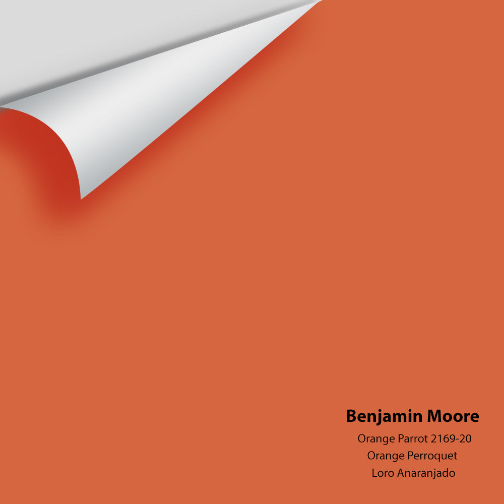 Big Paint Chip - Orange Parrot 2169-20